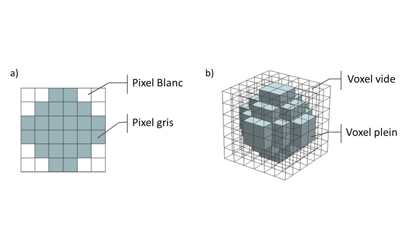 figure gauche grille noircies pour former une boule en 2 dimension les pixel en 2D figure droite pixel en 3 dimensions avec des cubes empilés